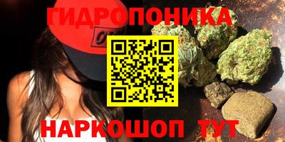прущие грибы Пенза